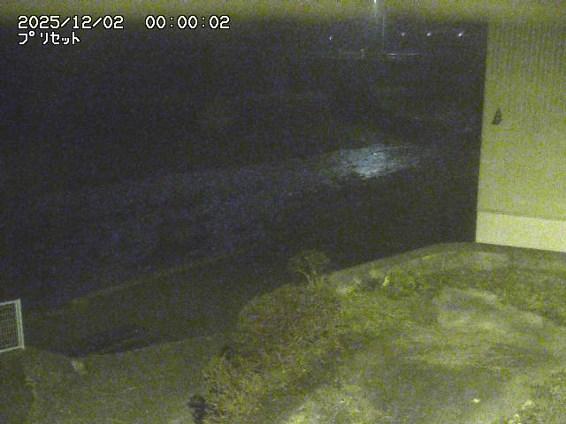 佐治川５2025/12/02 12:00:00