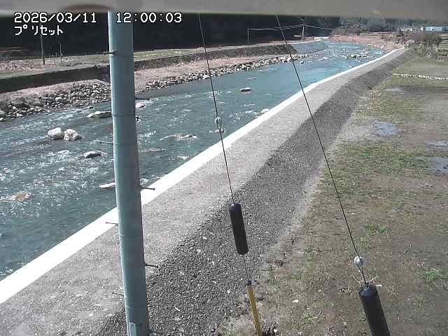 佐治川６2026/03/11 13:50:00