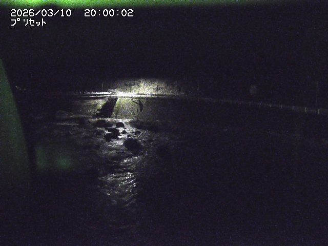 佐治川８2026/03/11 13:50:00