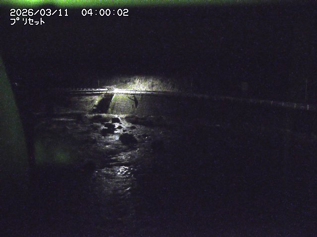 佐治川８2026/03/11 13:50:00