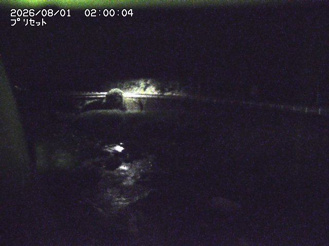佐治川８2026/08/01 20:50:00