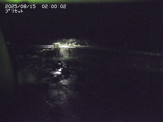 佐治川８2025/08/15 15:50:00
