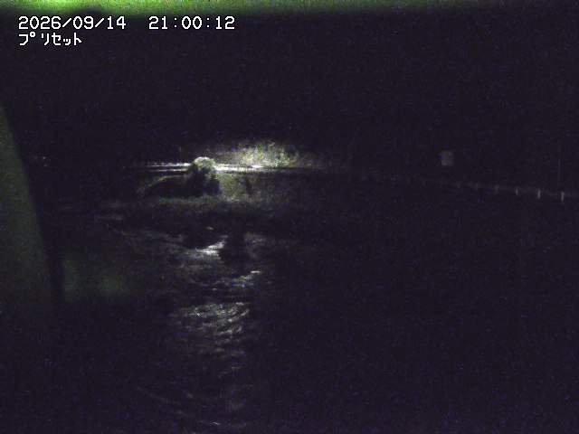 佐治川８2026/09/15 15:50:00