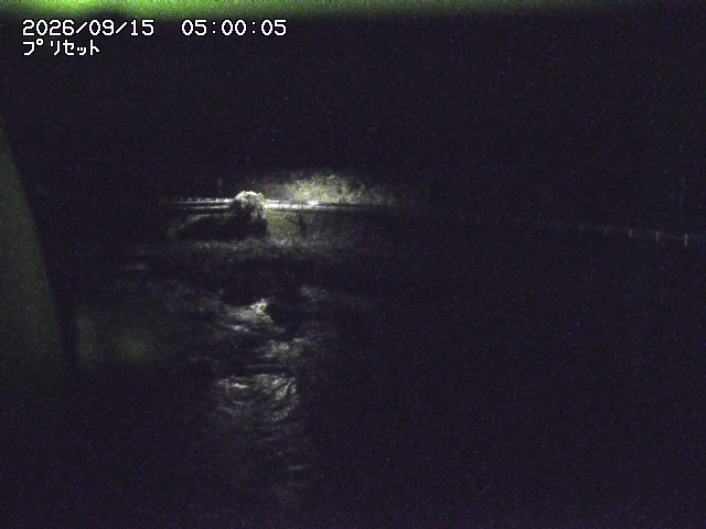 佐治川８2026/09/15 15:50:00