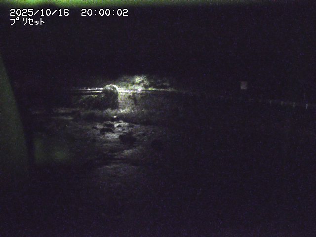 佐治川８2025/10/17 17:30:00