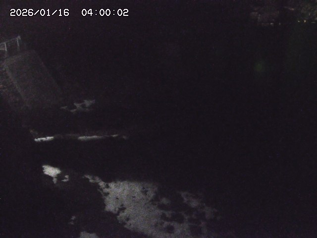 佐治川９2026/01/16 17:10:00