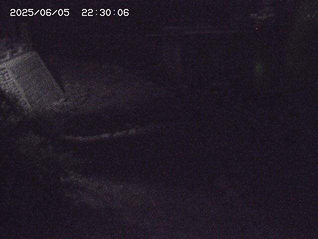 佐治川９2025/06/06 1:00:00