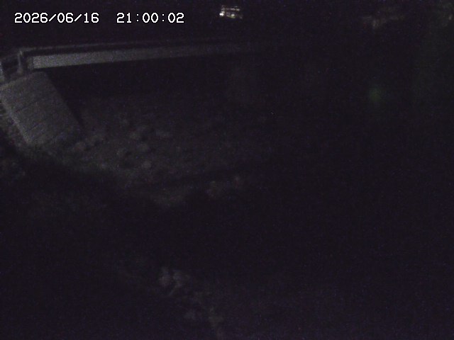 佐治川９2026/06/17 12:10:00
