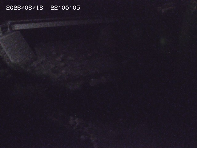 佐治川９2026/06/17 12:10:00