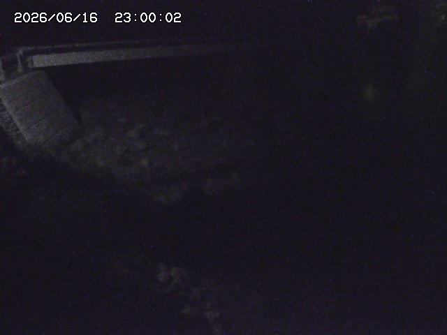 佐治川９2026/06/17 12:10:00