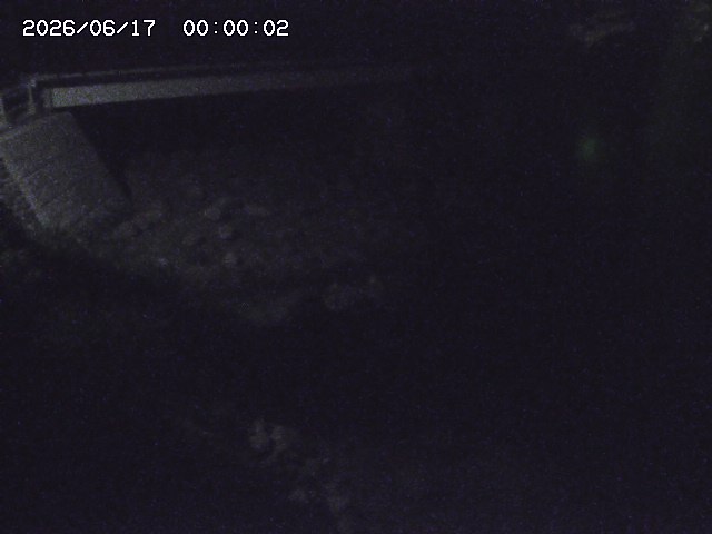佐治川９2026/06/17 12:10:00