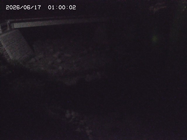 佐治川９2026/06/17 12:10:00