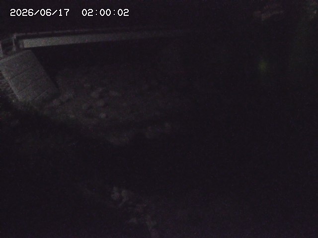 佐治川９2026/06/17 12:10:00