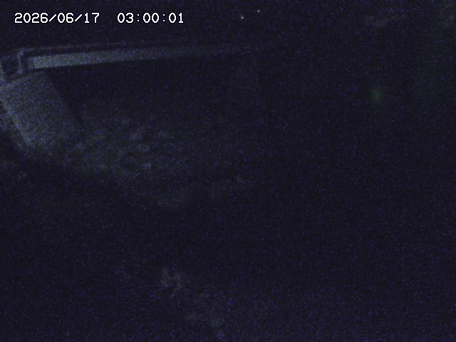 佐治川９2026/06/17 12:10:00