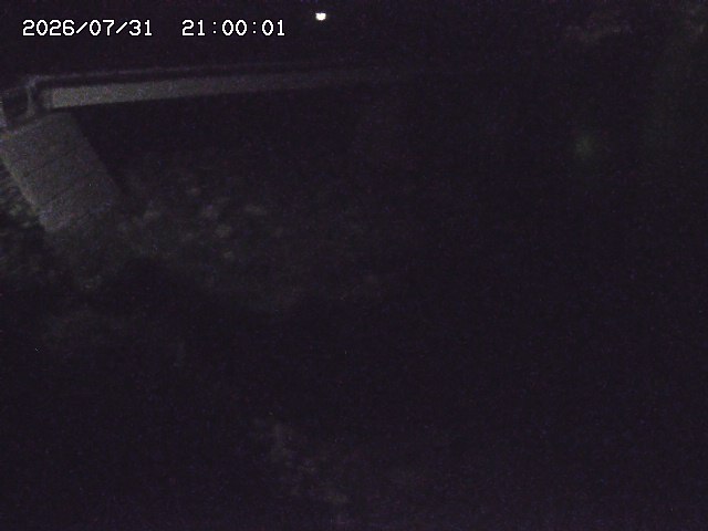 佐治川９2026/08/01 20:50:00