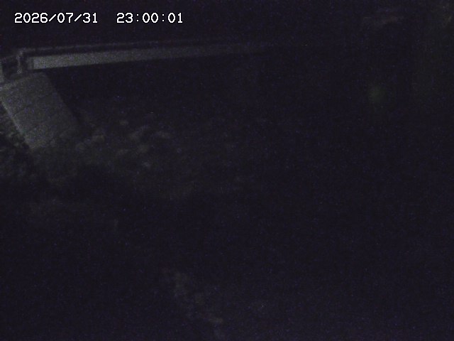 佐治川９2026/08/01 20:50:00