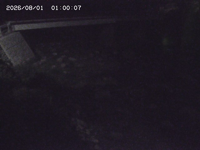 佐治川９2026/08/01 20:50:00