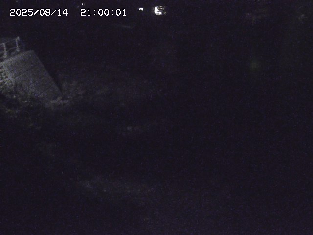 佐治川９2025/08/15 15:40:00
