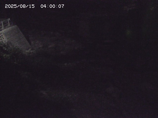 佐治川９2025/08/15 15:40:00