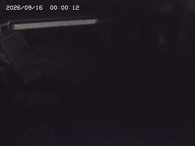佐治川９2026/09/16 16:40:00