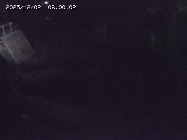 佐治川９2025/12/02 12:00:00