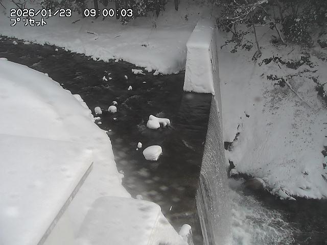 佐治川１３2026/01/24 2:40:00