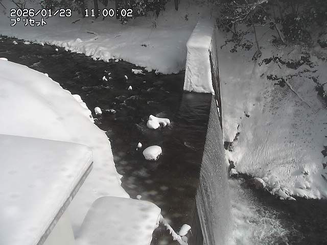 佐治川１３2026/01/24 2:40:00