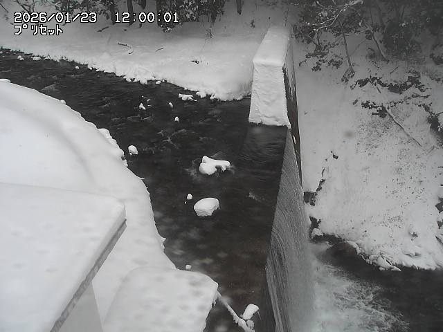 佐治川１３2026/01/24 2:40:00