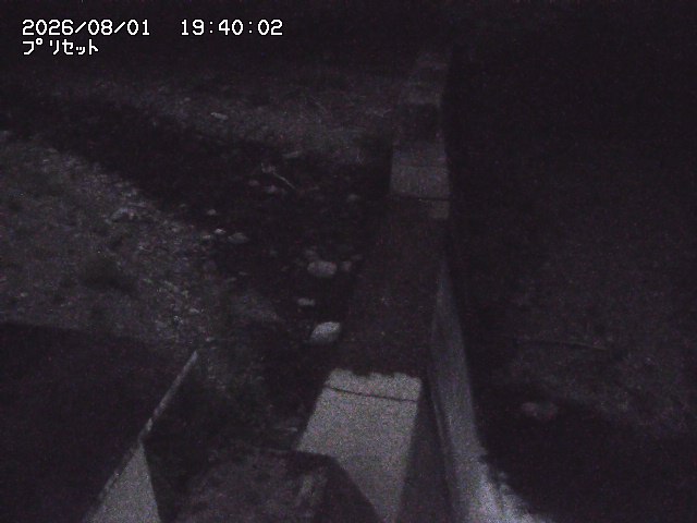 佐治川１３2026/08/01 20:50:00