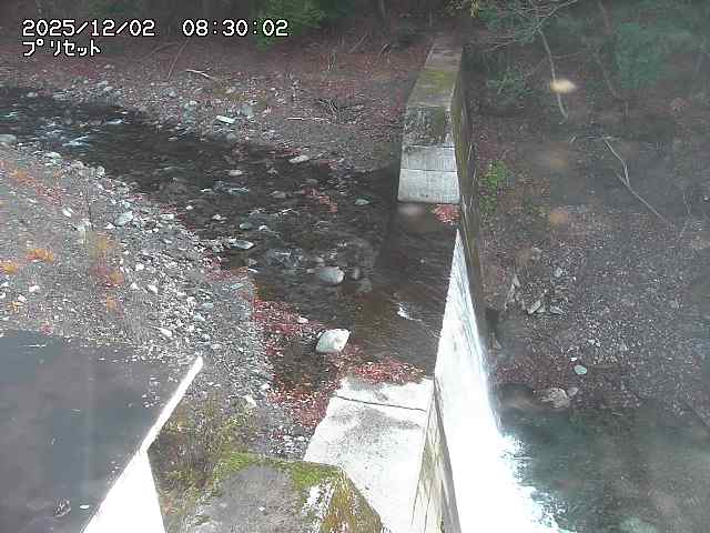 佐治川１３2025/12/02 12:00:00