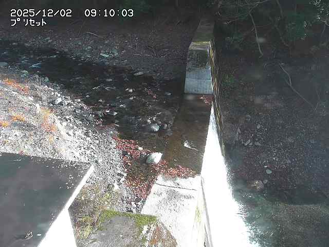 佐治川１３2025/12/02 12:00:00