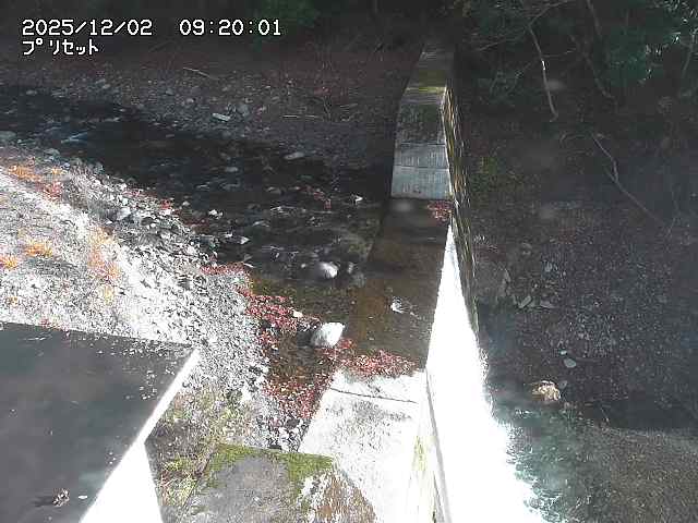 佐治川１３2025/12/02 12:00:00