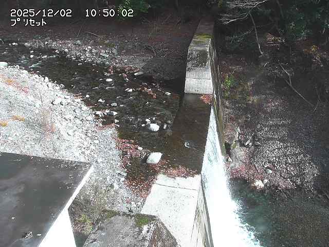 佐治川１３2025/12/02 12:00:00