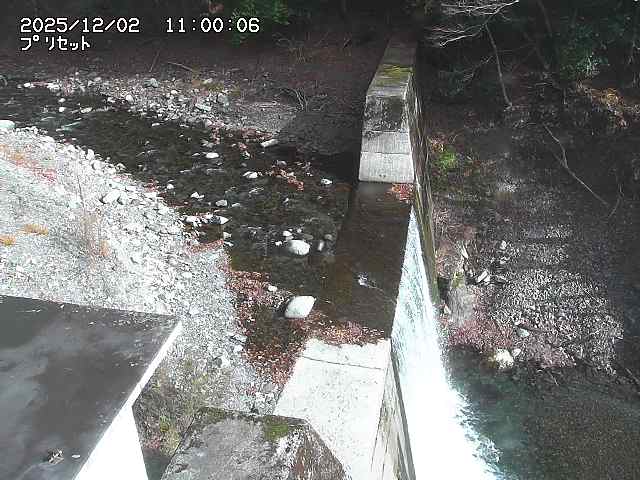 佐治川１３2025/12/02 12:00:00