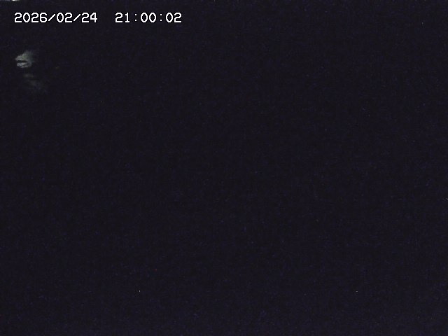 安蔵川１2026/02/25 2:30:00