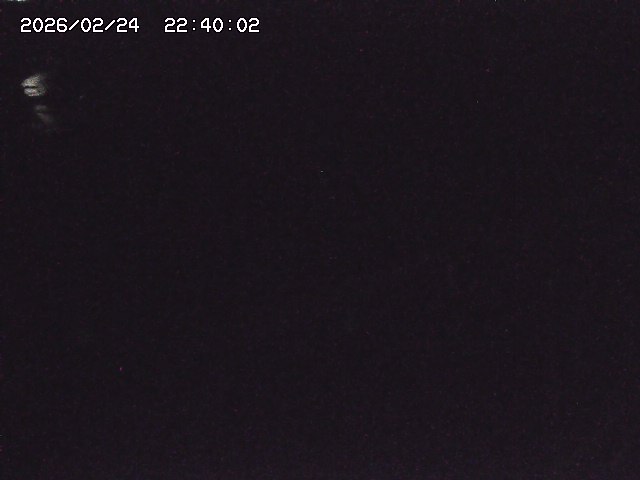 安蔵川１2026/02/25 2:30:00