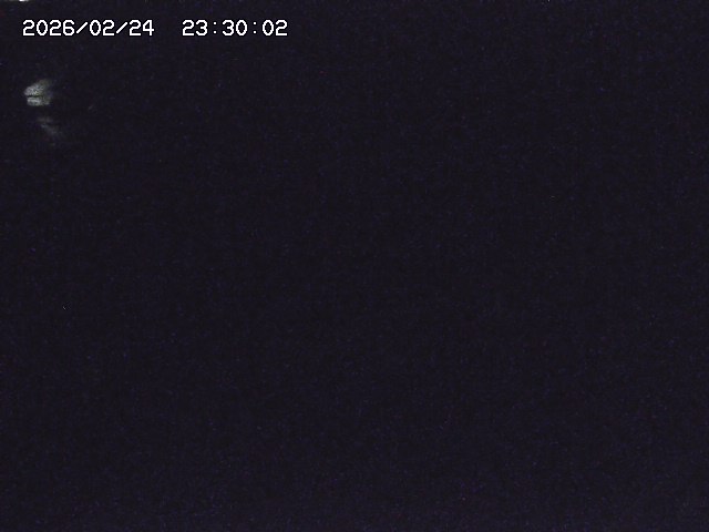 安蔵川１2026/02/25 2:30:00