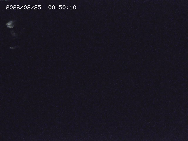 安蔵川１2026/02/25 2:30:00