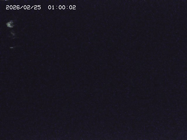 安蔵川１2026/02/25 2:30:00