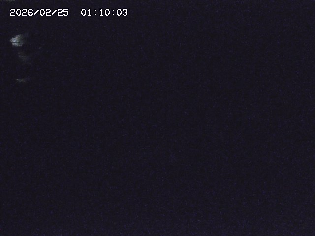 安蔵川１2026/02/25 2:30:00