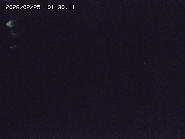 安蔵川１2026/02/25 2:30:00