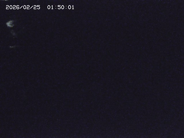 安蔵川１2026/02/25 2:30:00