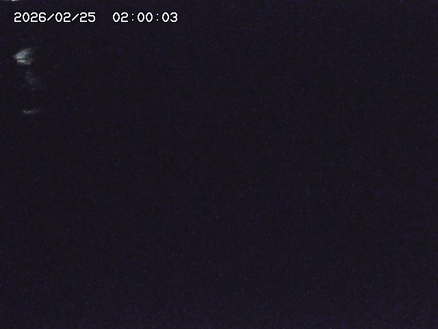 安蔵川１2026/02/25 2:30:00