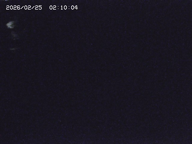 安蔵川１2026/02/25 2:30:00