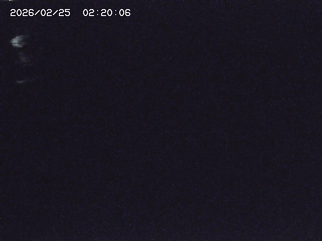 安蔵川１2026/02/25 2:30:00