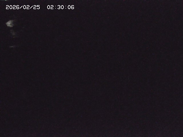 安蔵川１2026/02/25 2:30:00