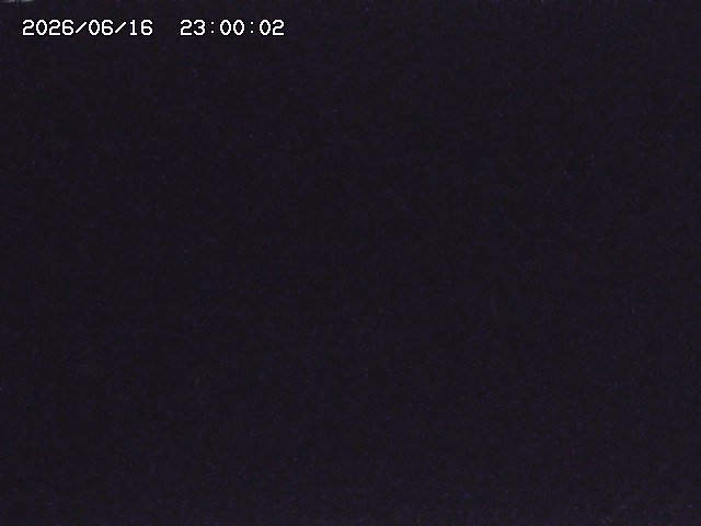 安蔵川１2026/06/17 12:00:00