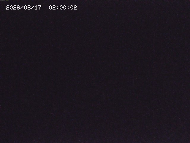 安蔵川１2026/06/17 12:00:00