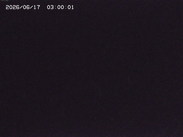 安蔵川１2026/06/17 12:00:00
