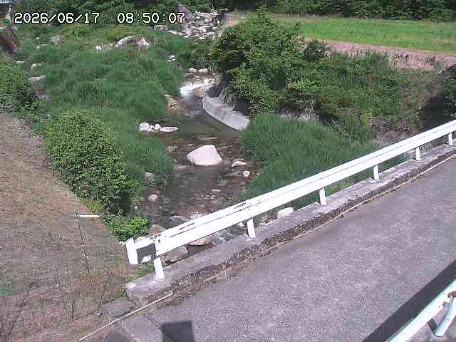 安蔵川１2026/06/17 12:00:00